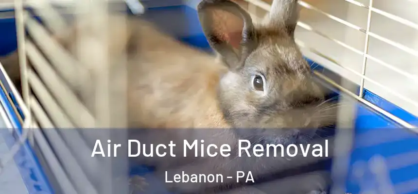  Air Duct Mice Removal Lebanon - PA