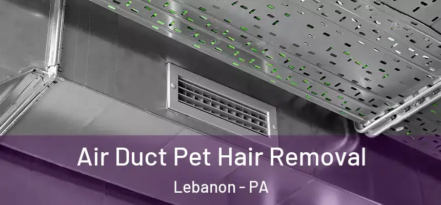 Air Duct Pet Hair Removal Lebanon - PA
