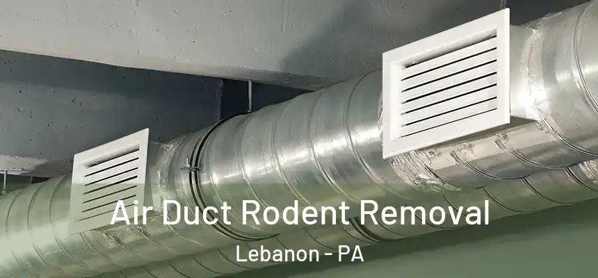  Air Duct Rodent Removal Lebanon - PA