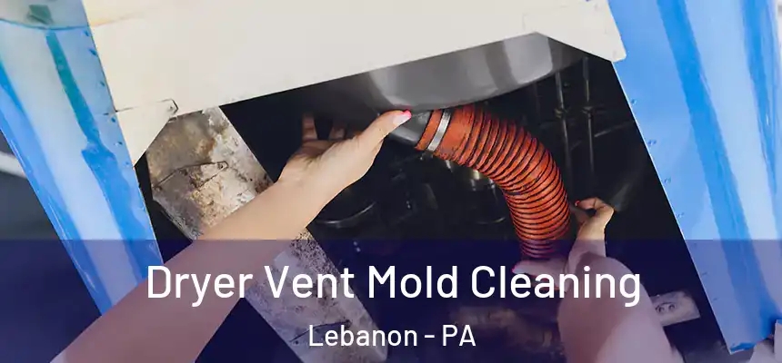 Dryer Vent Mold Cleaning Lebanon - PA