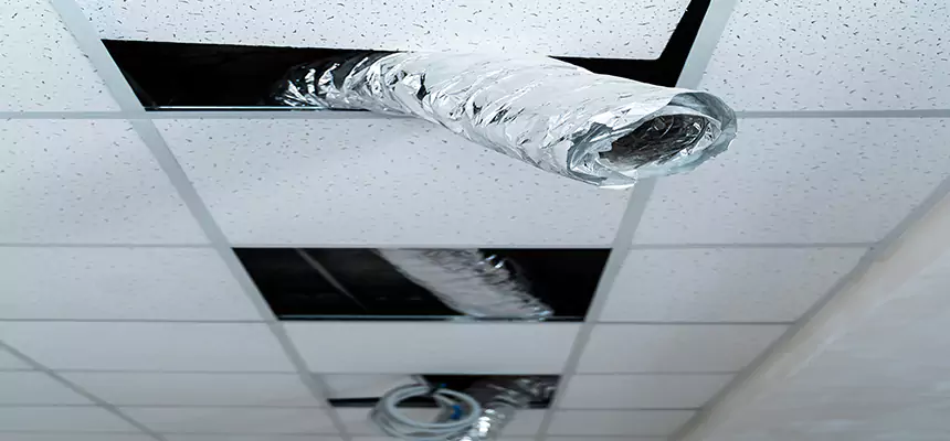 Our Air Duct Pet Hair Removal Services in Lebanon, PA