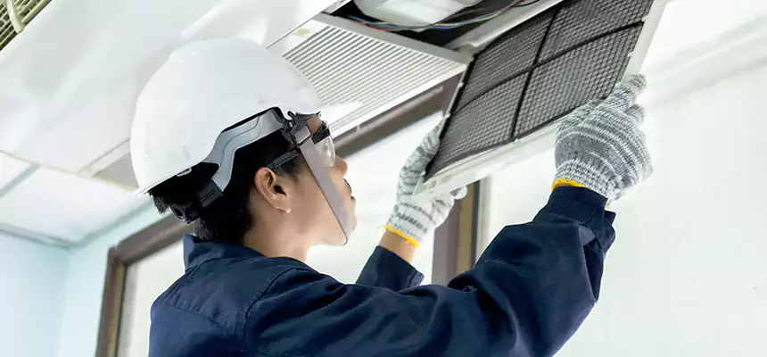 Our Mold & Mildew Removal from Air Ducts Services in Lebanon, PA