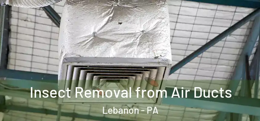Insect Removal from Air Ducts Lebanon - PA
