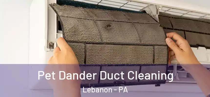 Pet Dander Duct Cleaning Lebanon - PA