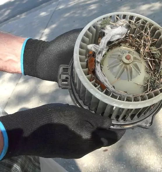 About Air Duct Mice Removal in Lebanon, PA