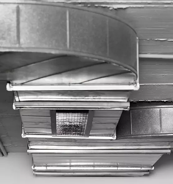 Professional Air Duct Pest Removal in Lebanon, PA