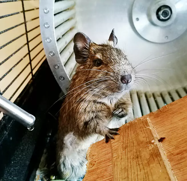 Why Homeowners & Businesses Trust Us Lebanon, PA?